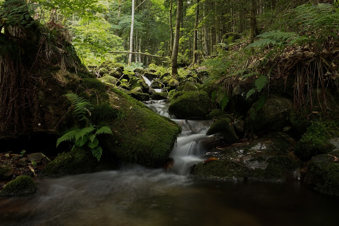Ruhiger Flusslauf in der Natur